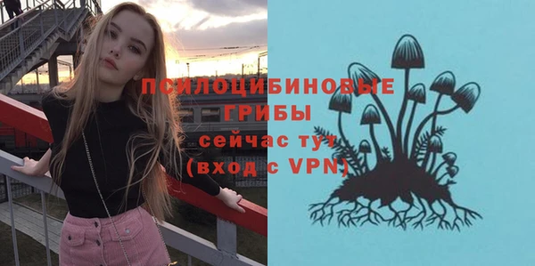 mix Армянск