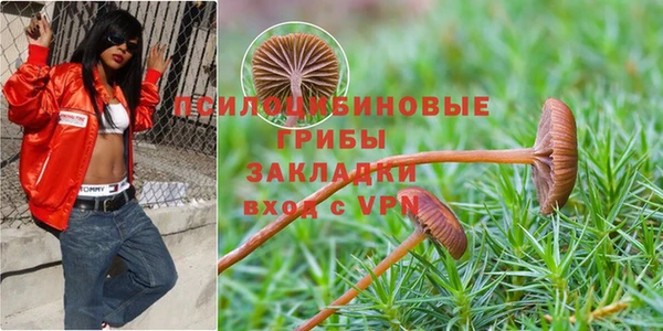 mix Армянск