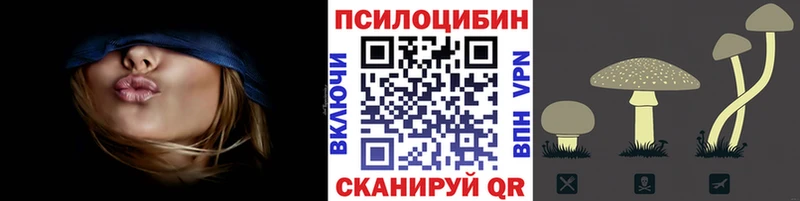 Псилоцибиновые грибы GOLDEN TEACHER  закладки  Спасск-Дальний 