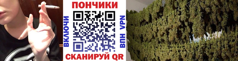 купить наркоту Спасск-Дальний МАРИХУАНА конопля